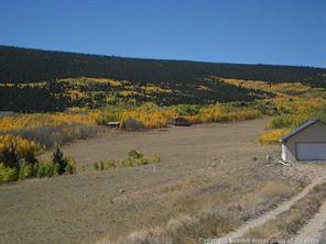 556 Sheep Ridge Road Fairplay, CO 80440 - Photo 1 of 13 Gallery Image 1