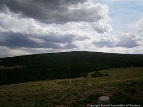 556 Sheep Ridge Road Fairplay, CO 80440 - Photo 12 of 13 Gallery Image 12
