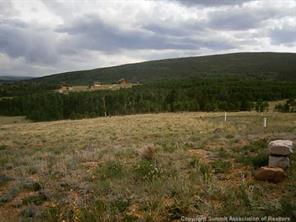 556 Sheep Ridge Road Fairplay, CO 80440 - Photo 13 of 13 Gallery Image 13