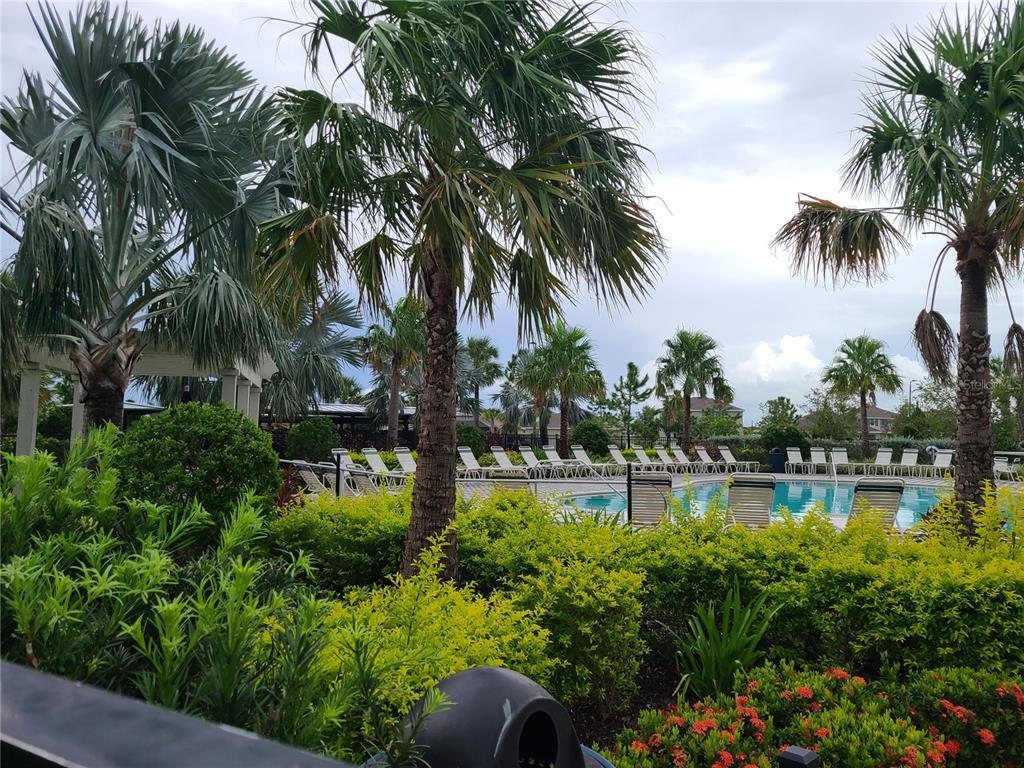 10209 Kalamazoo Place Parrish, FL 34219 - Photo 19 of 25 a view of a swimming pool with a garden and trees