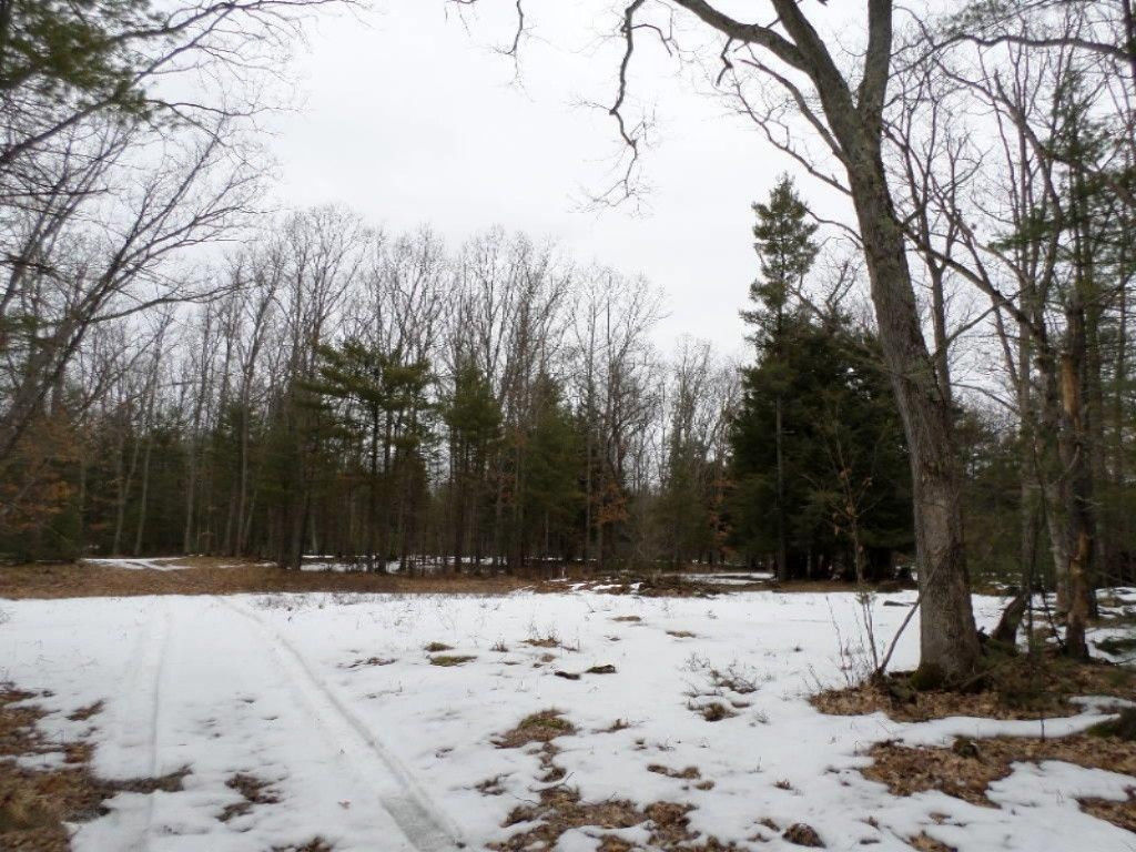 Vacant East Fox Farm Road Manistee, MI 49660 - Photo 11 of 20 SAM_1467