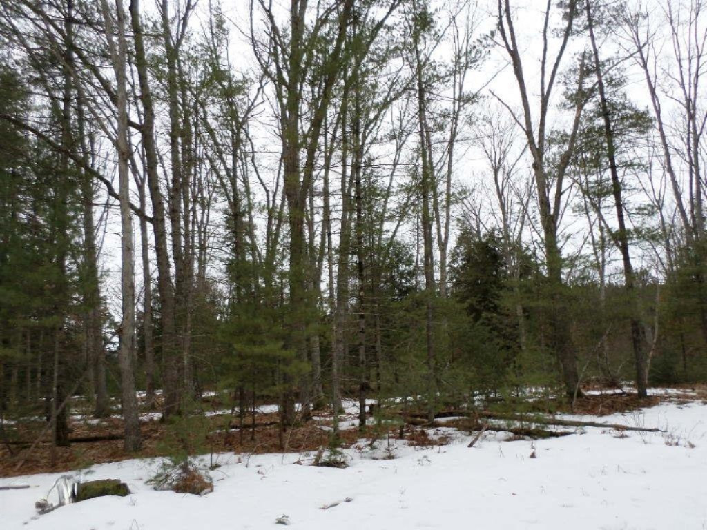 Vacant East Fox Farm Road Manistee, MI 49660 - Photo 12 of 20 SAM_1466