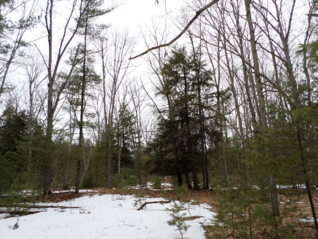 Vacant East Fox Farm Road Manistee, MI 49660 - Photo 13 of 20 SAM_1465