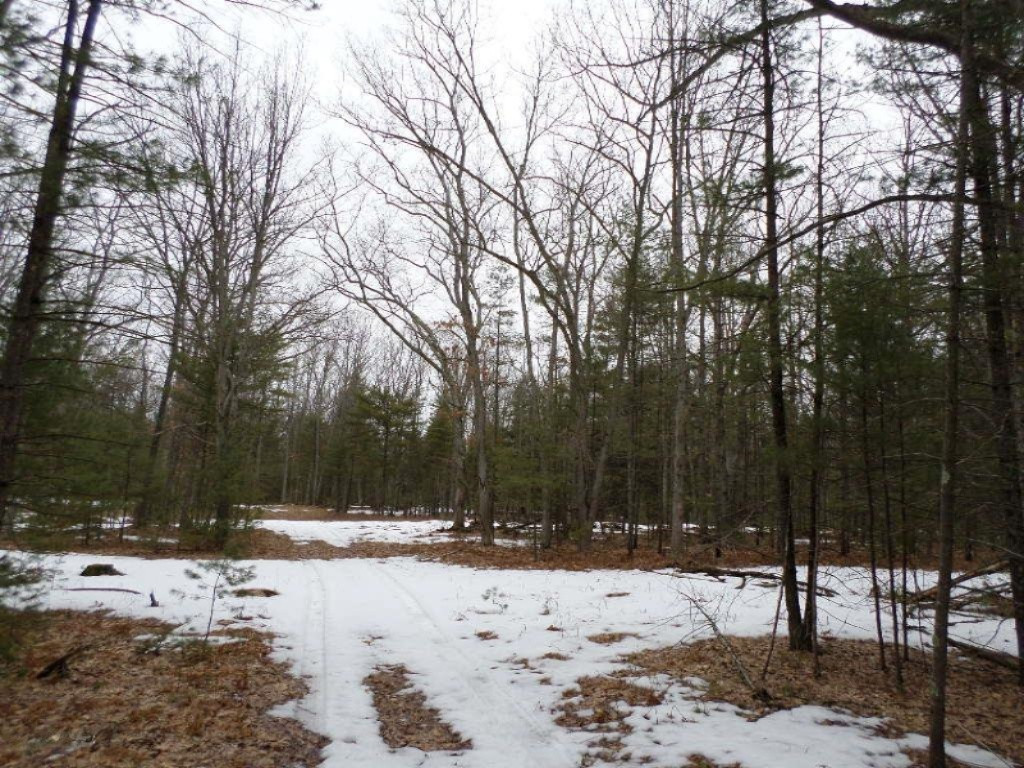 Vacant East Fox Farm Road Manistee, MI 49660 - Photo 14 of 20 SAM_1464