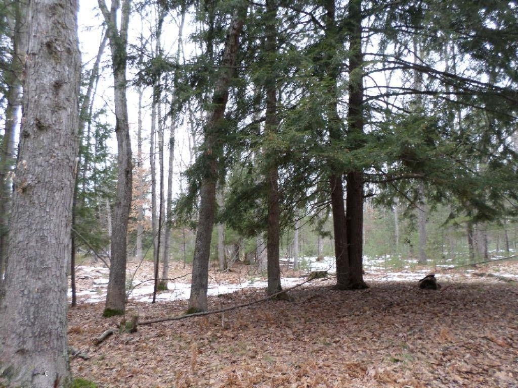 Vacant East Fox Farm Road Manistee, MI 49660 - Photo 16 of 20 SAM_1462