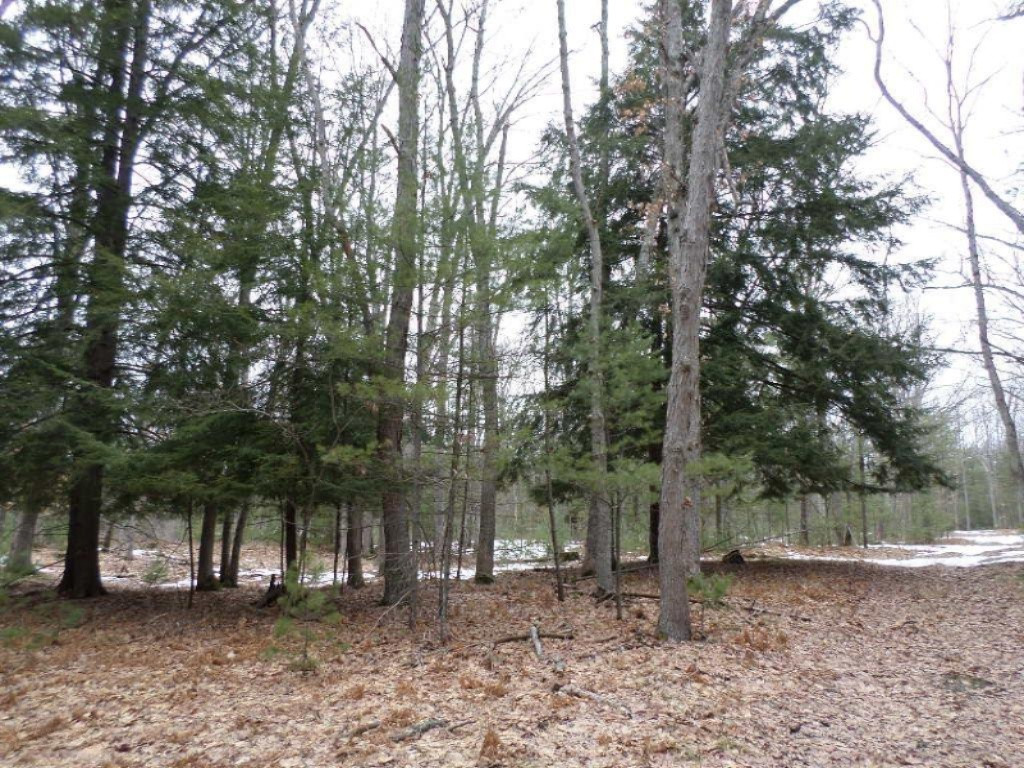 Vacant East Fox Farm Road Manistee, MI 49660 - Photo 17 of 20 SAM_1461