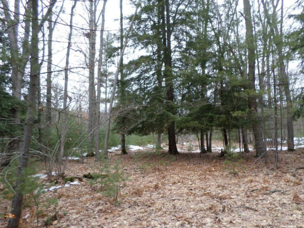 Vacant East Fox Farm Road Manistee, MI 49660 - Photo 18 of 20 SW Corner Marker