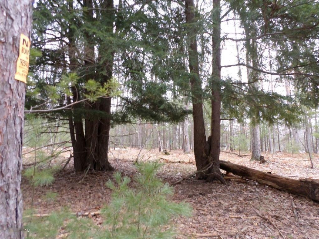 Vacant East Fox Farm Road Manistee, MI 49660 - Photo 19 of 20 Back of Property