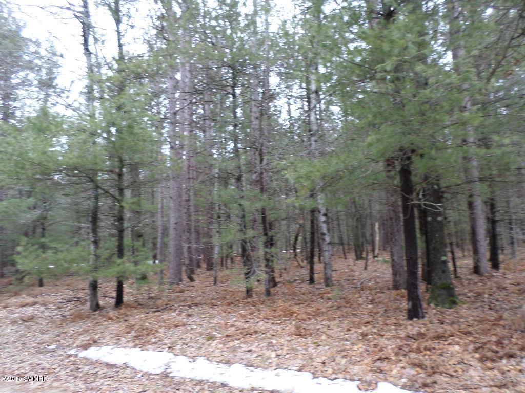 Vacant East Fox Farm Road Manistee, MI 49660 - Photo 20 of 20 SE Corner Marker