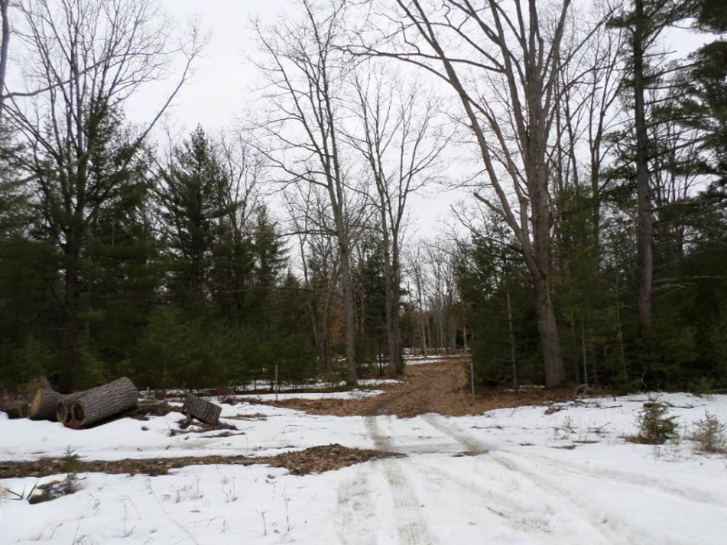 Vacant East Fox Farm Road Manistee, MI 49660 - Photo 2 of 20 2 Track Into Property