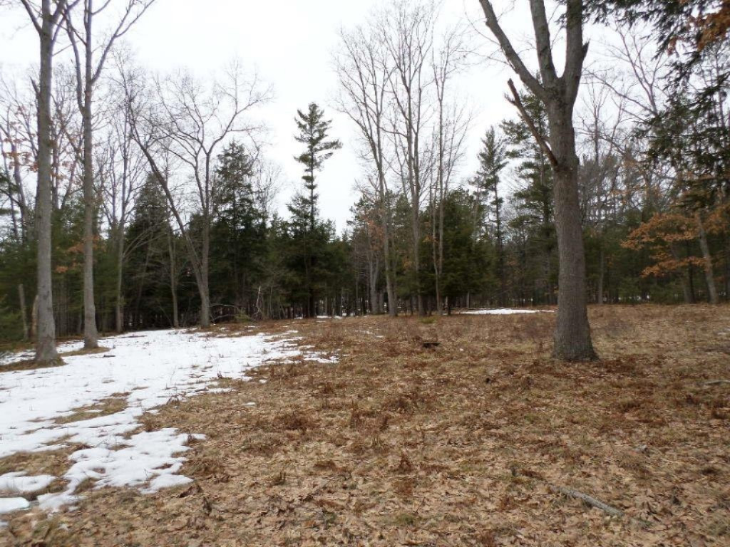 Vacant East Fox Farm Road Manistee, MI 49660 - Photo 3 of 20 Open Area to Build a Home