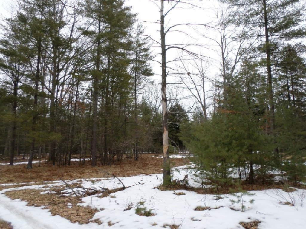 Vacant East Fox Farm Road Manistee, MI 49660 - Photo 4 of 20 SAM_1475