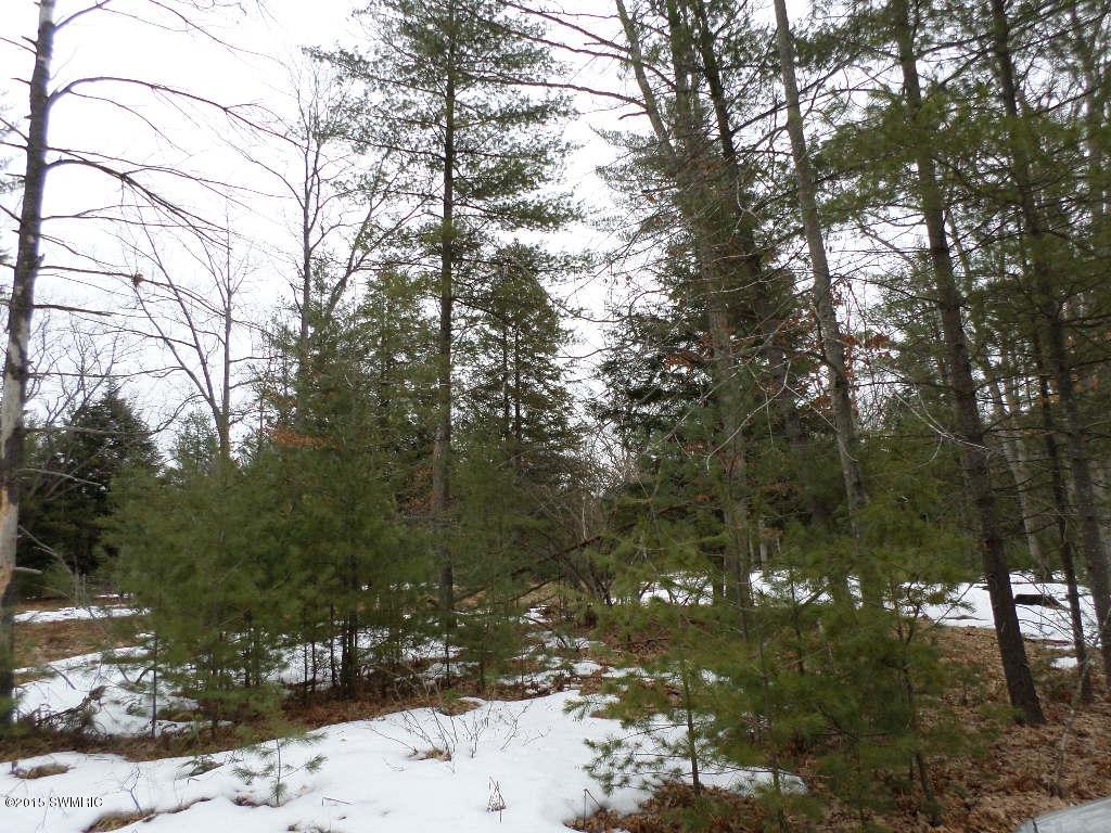 Vacant East Fox Farm Road Manistee, MI 49660 - Photo 5 of 20 SAM_1474
