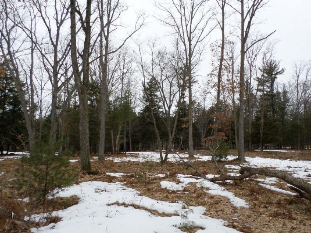 Vacant East Fox Farm Road Manistee, MI 49660 - Photo 6 of 20 SAM_1473