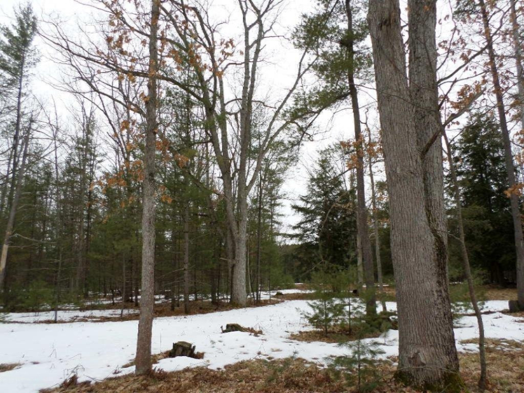 Vacant East Fox Farm Road Manistee, MI 49660 - Photo 8 of 20 SAM_1471