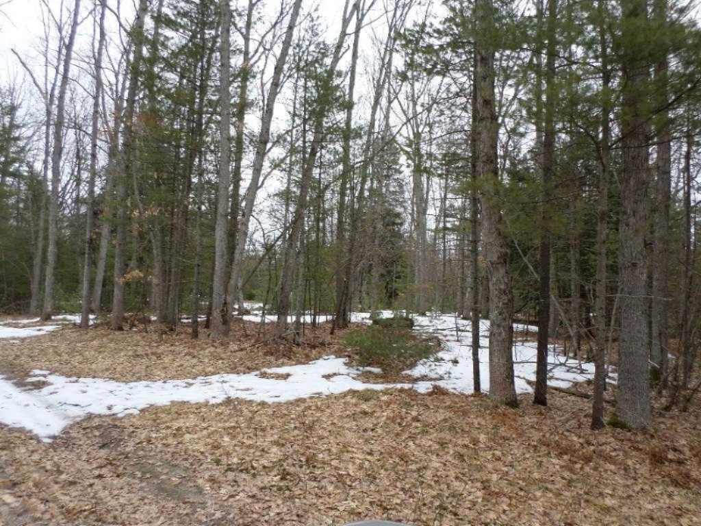 Vacant East Fox Farm Road Manistee, MI 49660 - Photo 9 of 20 SAM_1470