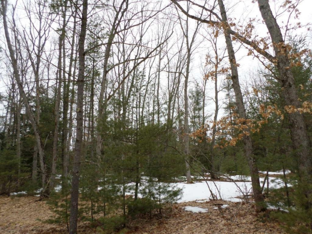Vacant East Fox Farm Road Manistee, MI 49660 - Photo 10 of 20 SAM_1468