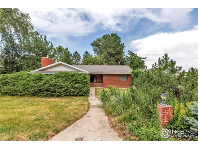 a view of a backyard with plants and a garden
