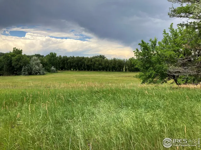 a view of a field with an trees