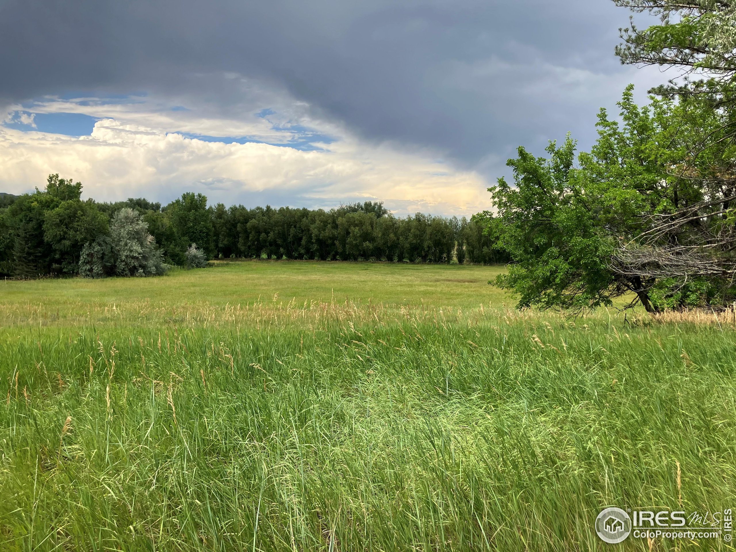 5273 Independence Road Boulder, CO 80301 - Photo 3 of 16 a view of a field with an trees