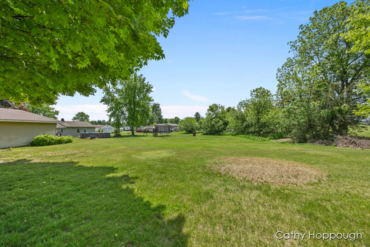 271 Rasmussen Drive Trufant, MI 49347 - Photo 35 of 44 IMG_1037