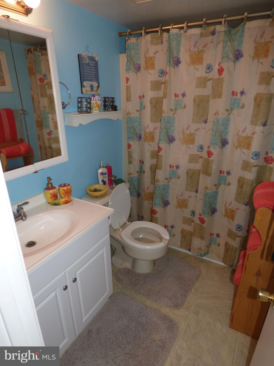 30243 Morgnec Road Millington, MD 21651 - Photo 22 of 28 Bath