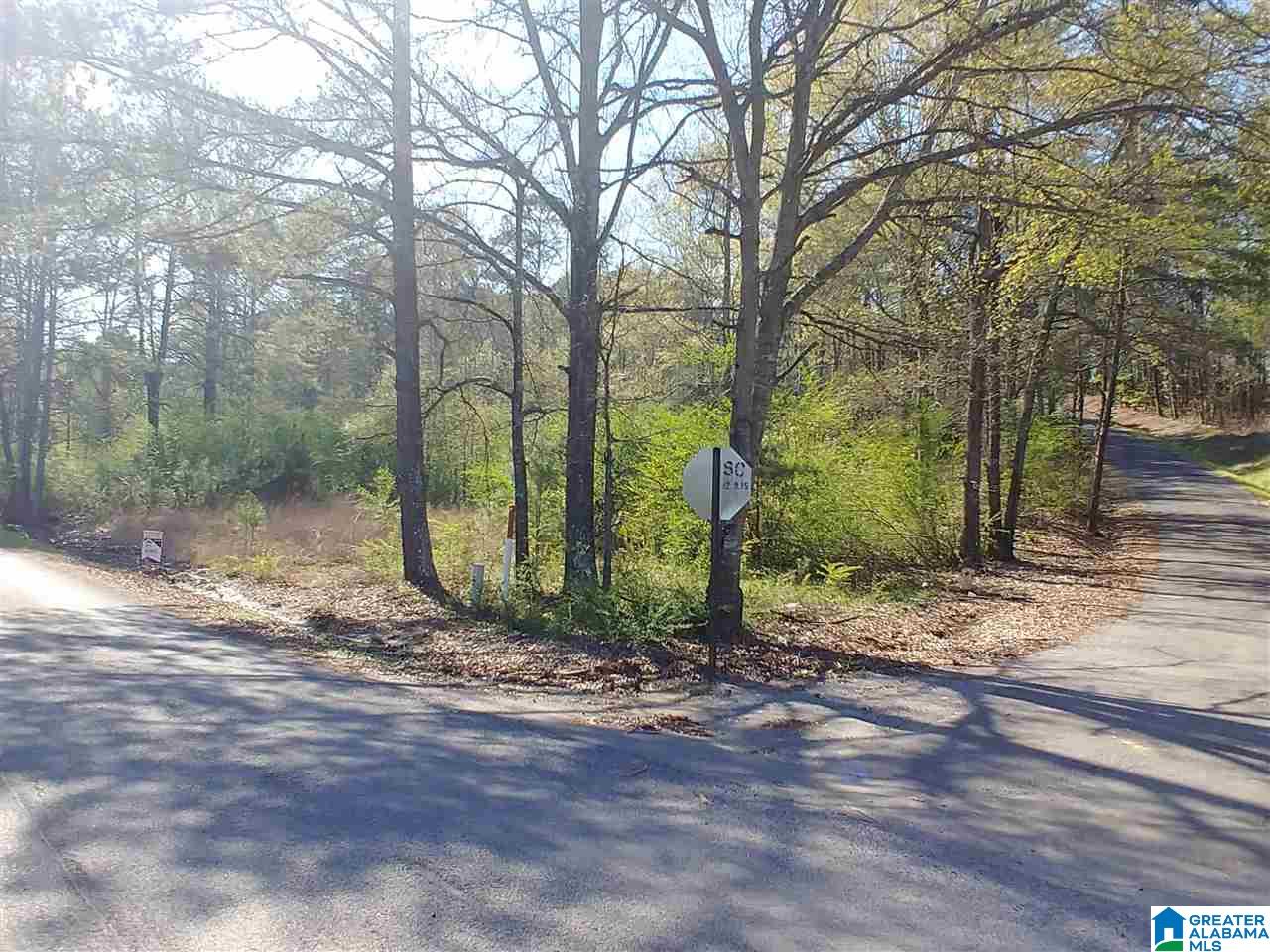 0 Roberts Mill Pond Road, Unit 1 39 Pell City, AL 35128 - Photo 22 of 29