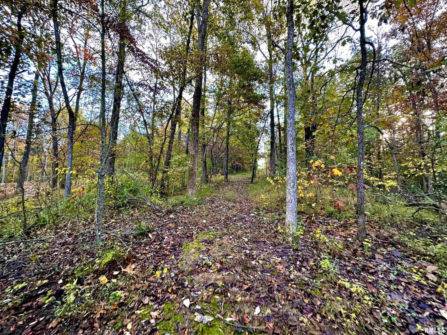 718 Karbers Ridge Road Elizabethtown, IL 62931 - Photo 44 of 70