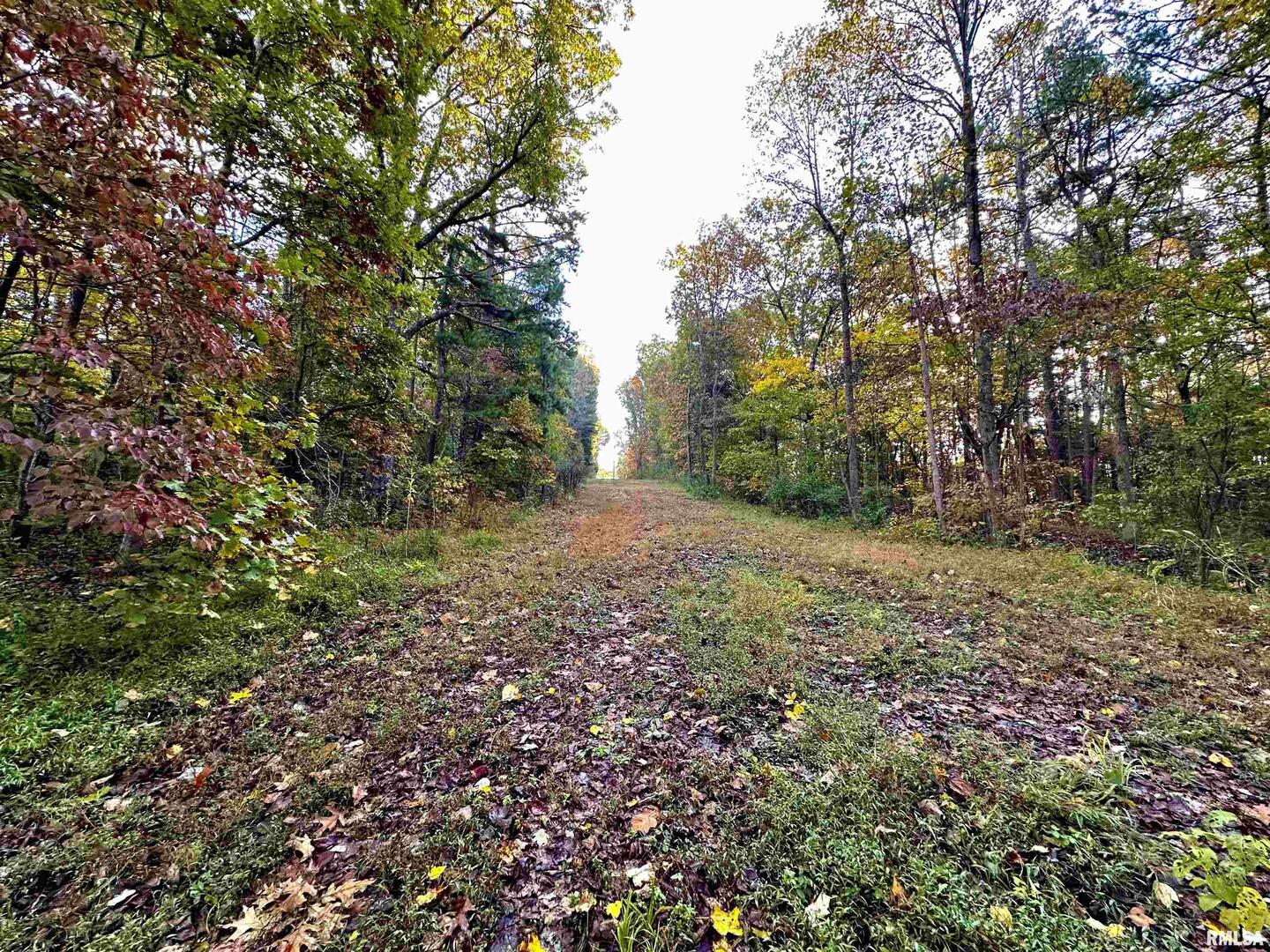 718 Karbers Ridge Road Elizabethtown, IL 62931 - Photo 47 of 70