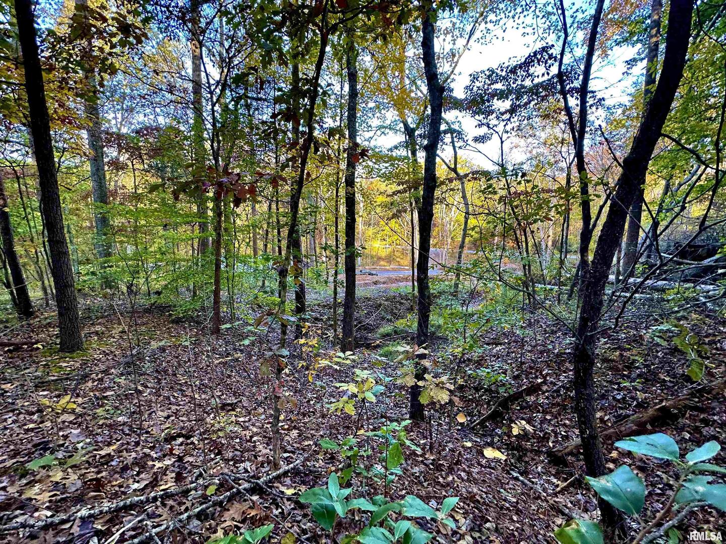 718 Karbers Ridge Road Elizabethtown, IL 62931 - Photo 48 of 70