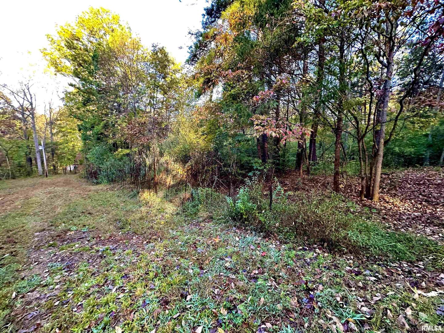 718 Karbers Ridge Road Elizabethtown, IL 62931 - Photo 50 of 70