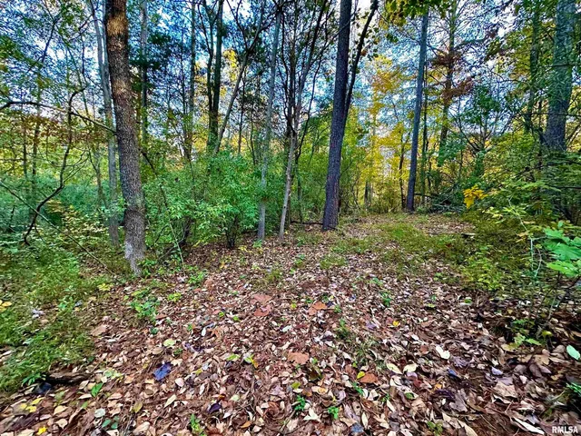 $265,000 | 718 Karbers Ridge Road, Elizabethtown, IL 62931