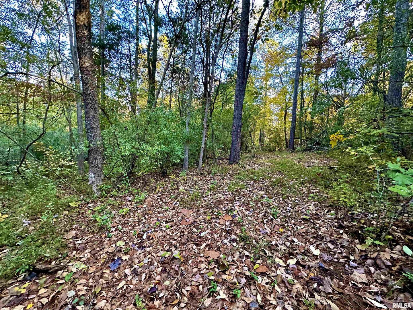 718 Karbers Ridge Road Elizabethtown, IL 62931 - Photo 51 of 70