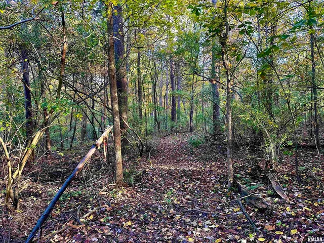 $265,000 | 718 Karbers Ridge Road, Elizabethtown, IL 62931