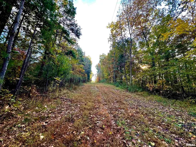 $265,000 | 718 Karbers Ridge Road, Elizabethtown, IL 62931