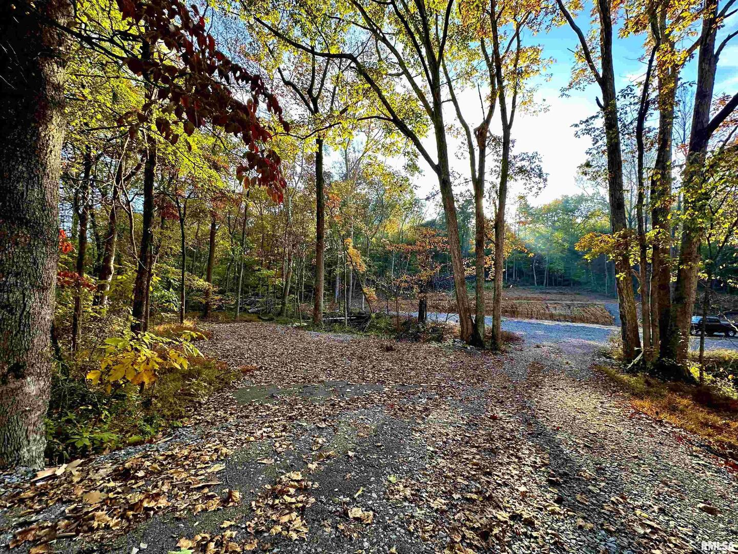 718 Karbers Ridge Road Elizabethtown, IL 62931 - Photo 58 of 70