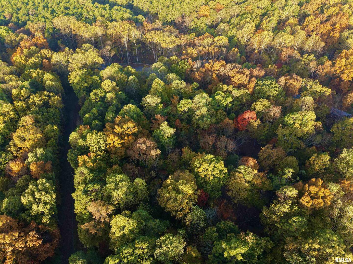 718 Karbers Ridge Road Elizabethtown, IL 62931 - Photo 68 of 70