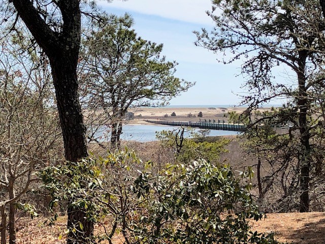59 Dike Road Edgartown, MA 02539 - Photo 1 of 5 a view of a tree with a yard