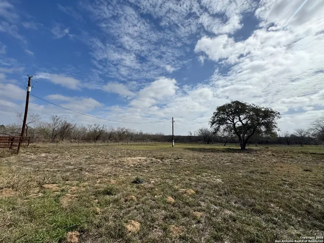 a view of a field with an ocean