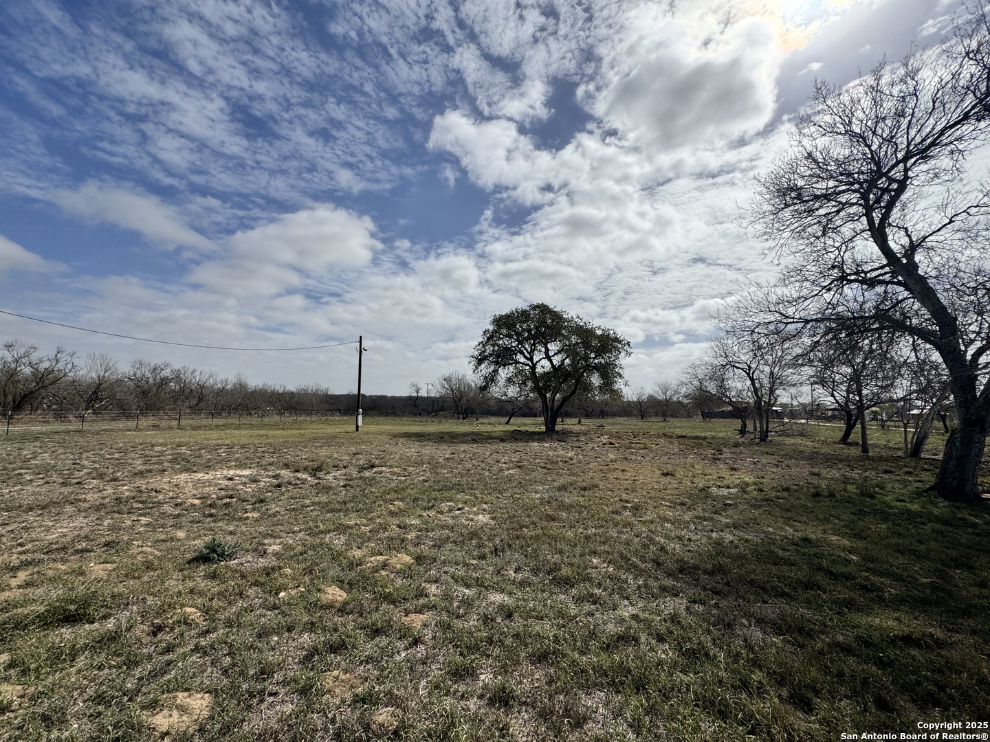 115 County Road 779 Devine, TX 78016 - Photo 6 of 6