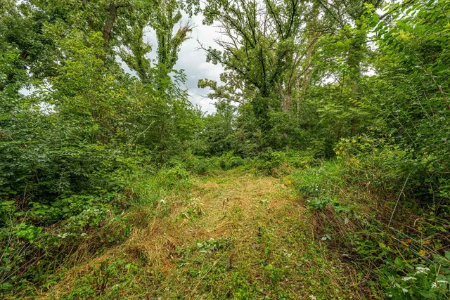 $110,000 | Lot 1 Burr Oak Lane, Monticello, WI 53570