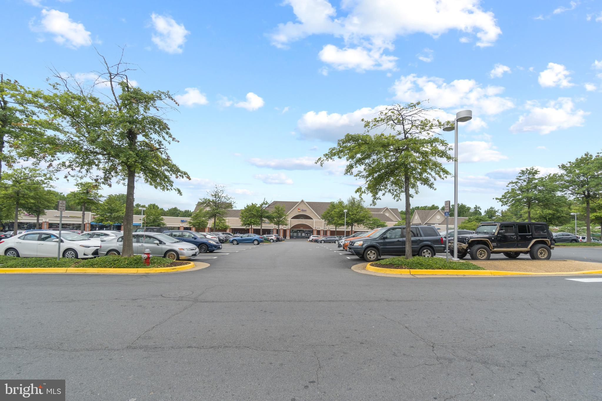 1301 Garden Wall Court, Unit 901 Reston, VA 20194 - Photo 27 of 30 One of the many shopping centers near by
