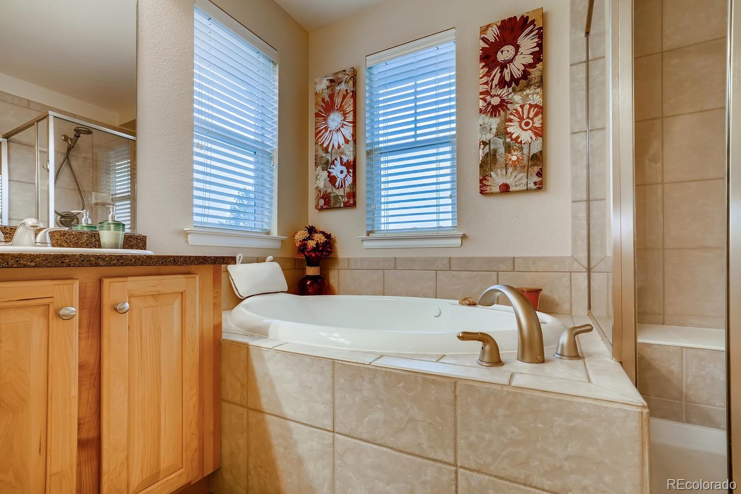 5375 Clovervale Circle Highlands Ranch, CO 80130 - Photo 11 of 20 Gallery Image 11