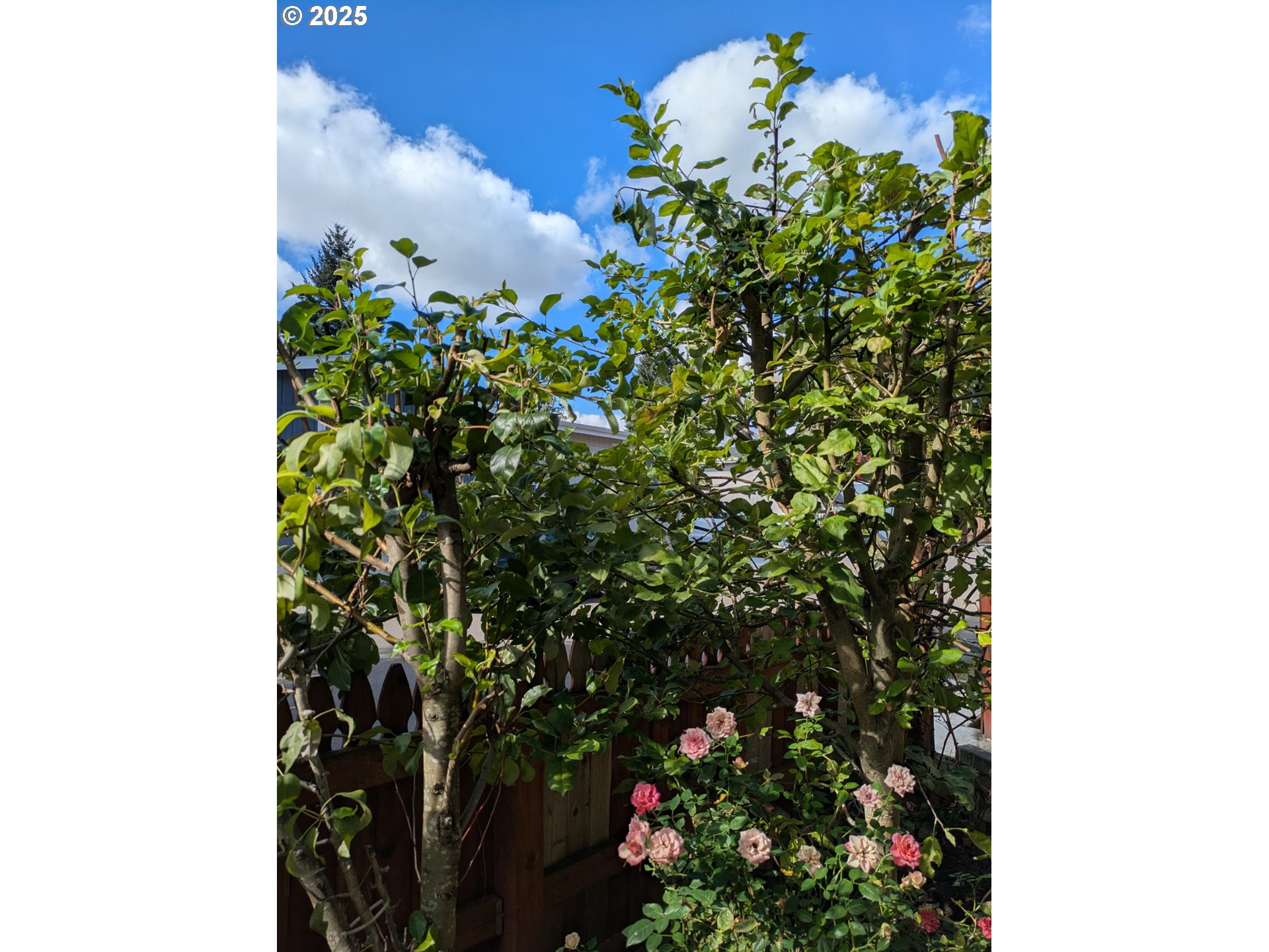 9700 Southwest Tualatin Road, Unit 5 Tualatin, OR 97062 - Photo 37 of 37