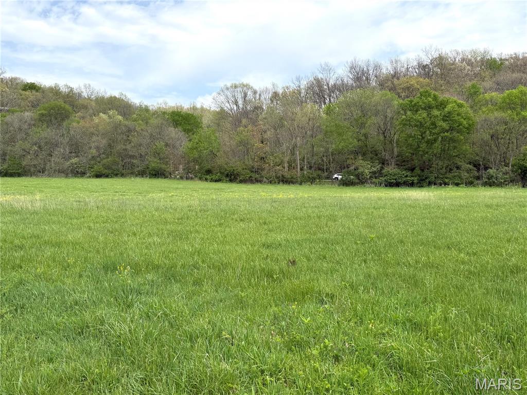 19142 Hardt Road Wildwood, MO 63038 - Photo 12 of 20