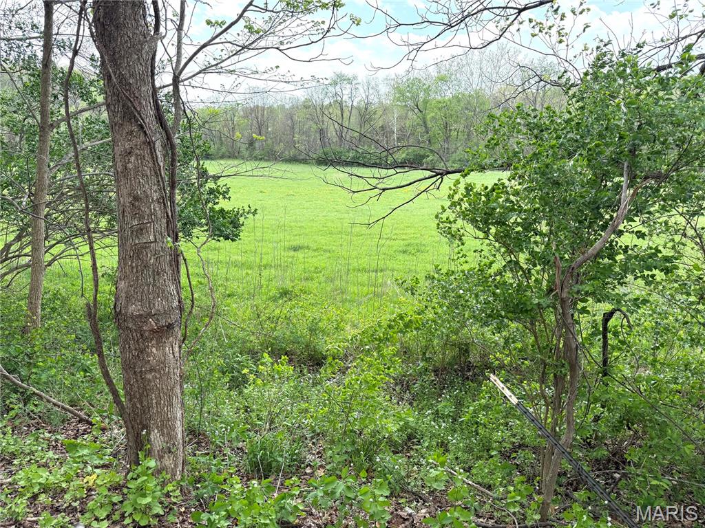 19142 Hardt Road Wildwood, MO 63038 - Photo 13 of 20