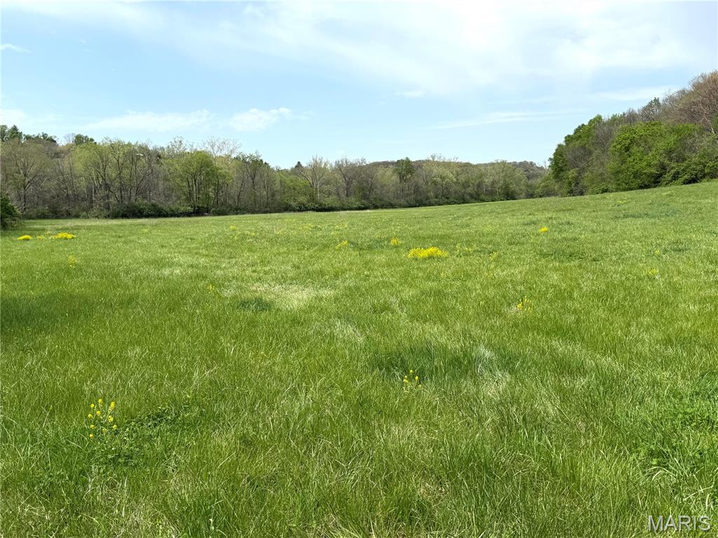 19142 Hardt Road Wildwood, MO 63038 - Photo 14 of 20