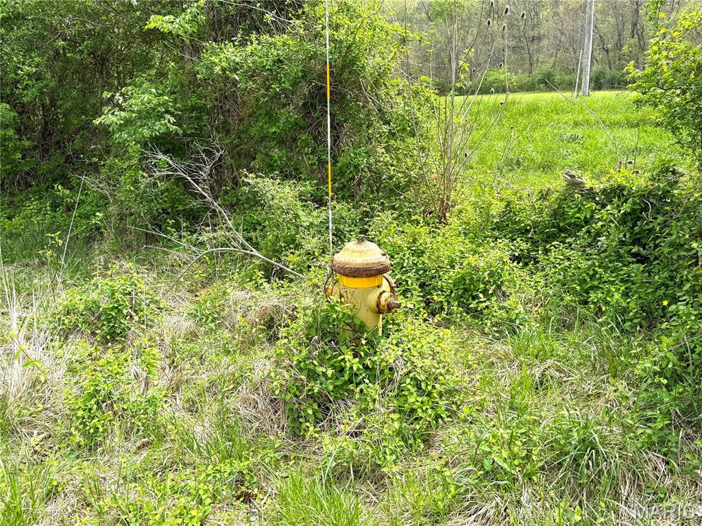 19142 Hardt Road Wildwood, MO 63038 - Photo 14 of 18