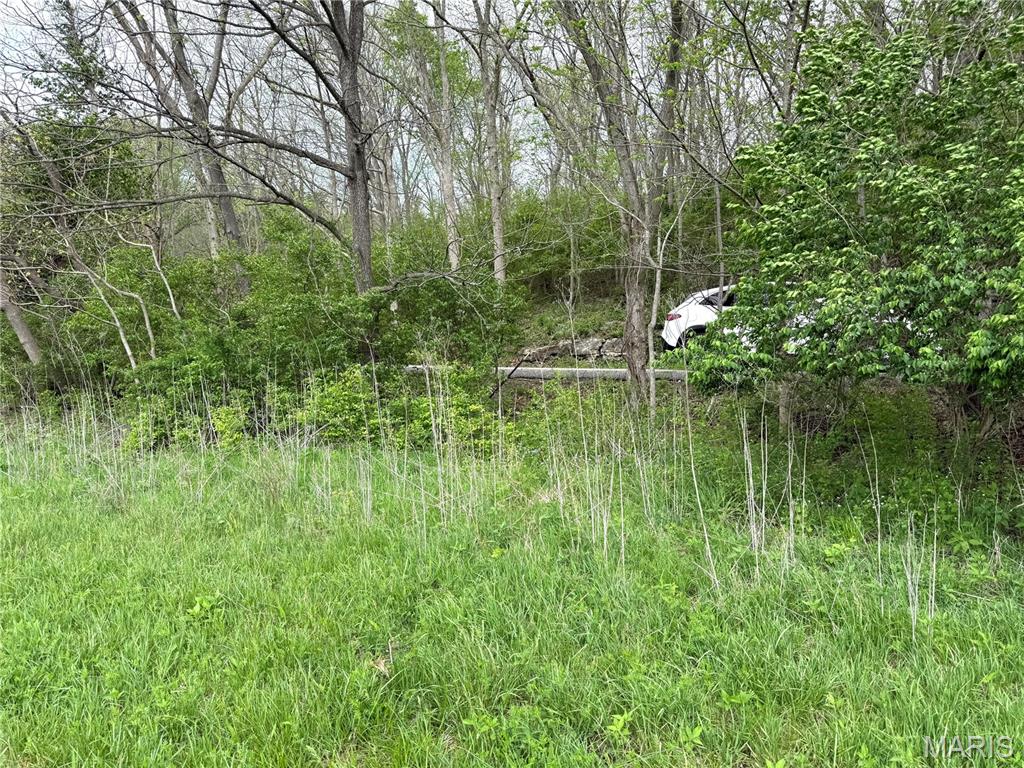 19142 Hardt Road Wildwood, MO 63038 - Photo 16 of 20