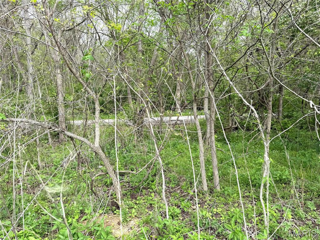 19142 Hardt Road Wildwood, MO 63038 - Photo 17 of 20